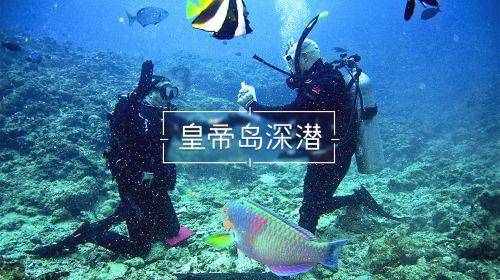 是谁在唱歌?好想加入万人合唱